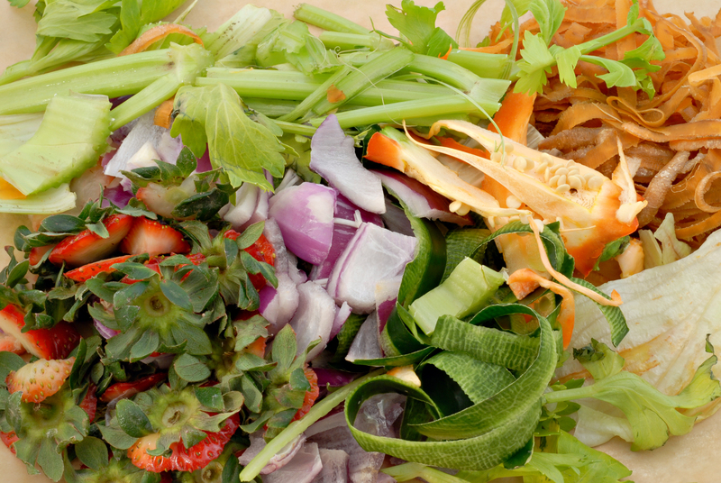 waste removal waste disposal